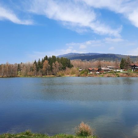 Fewo Bayerischer Wald Im Lamer Winkel Arrach Exterior foto