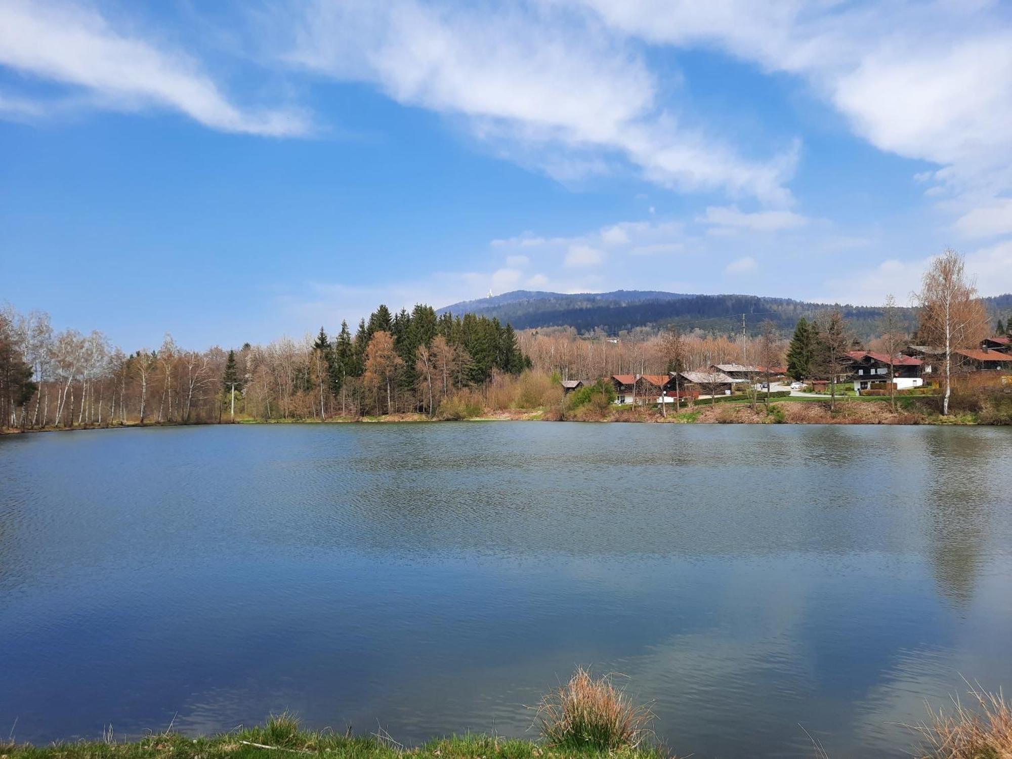Fewo Bayerischer Wald Im Lamer Winkel Arrach Exterior foto