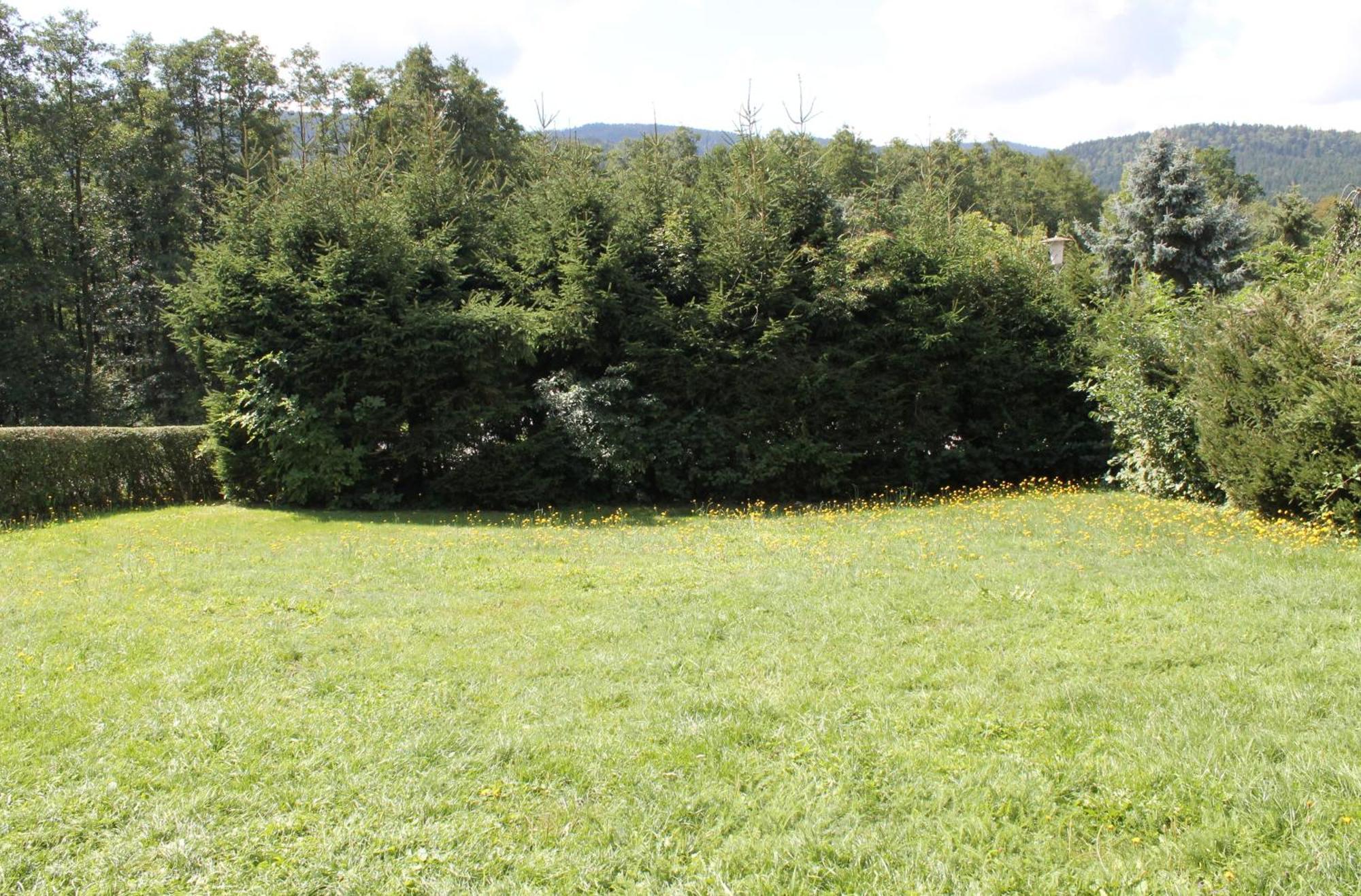 Fewo Bayerischer Wald Im Lamer Winkel Arrach Exterior foto